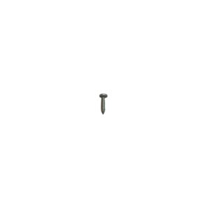 *TORN.3,9x16 DIN 7981 INOX A-2